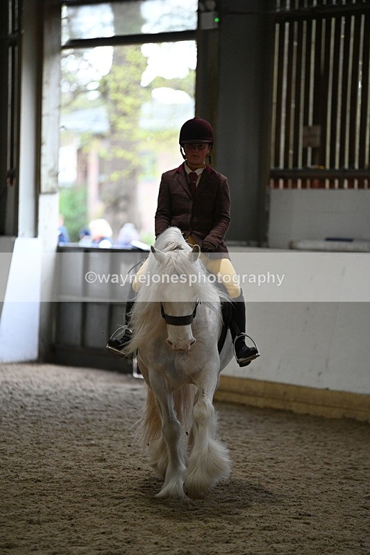 WJ7_4174 - Class 17 Ridden Cob