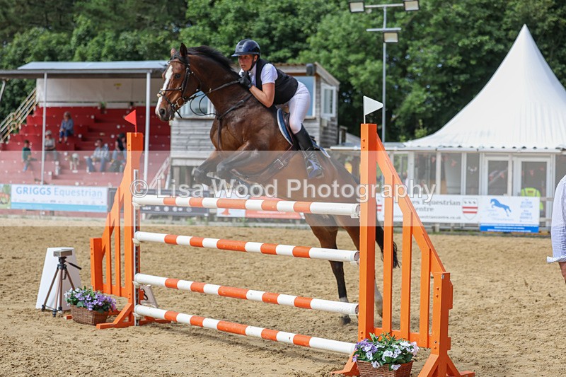 3E7A7622 - Class 9: Senior Foxhunter/1.20 open