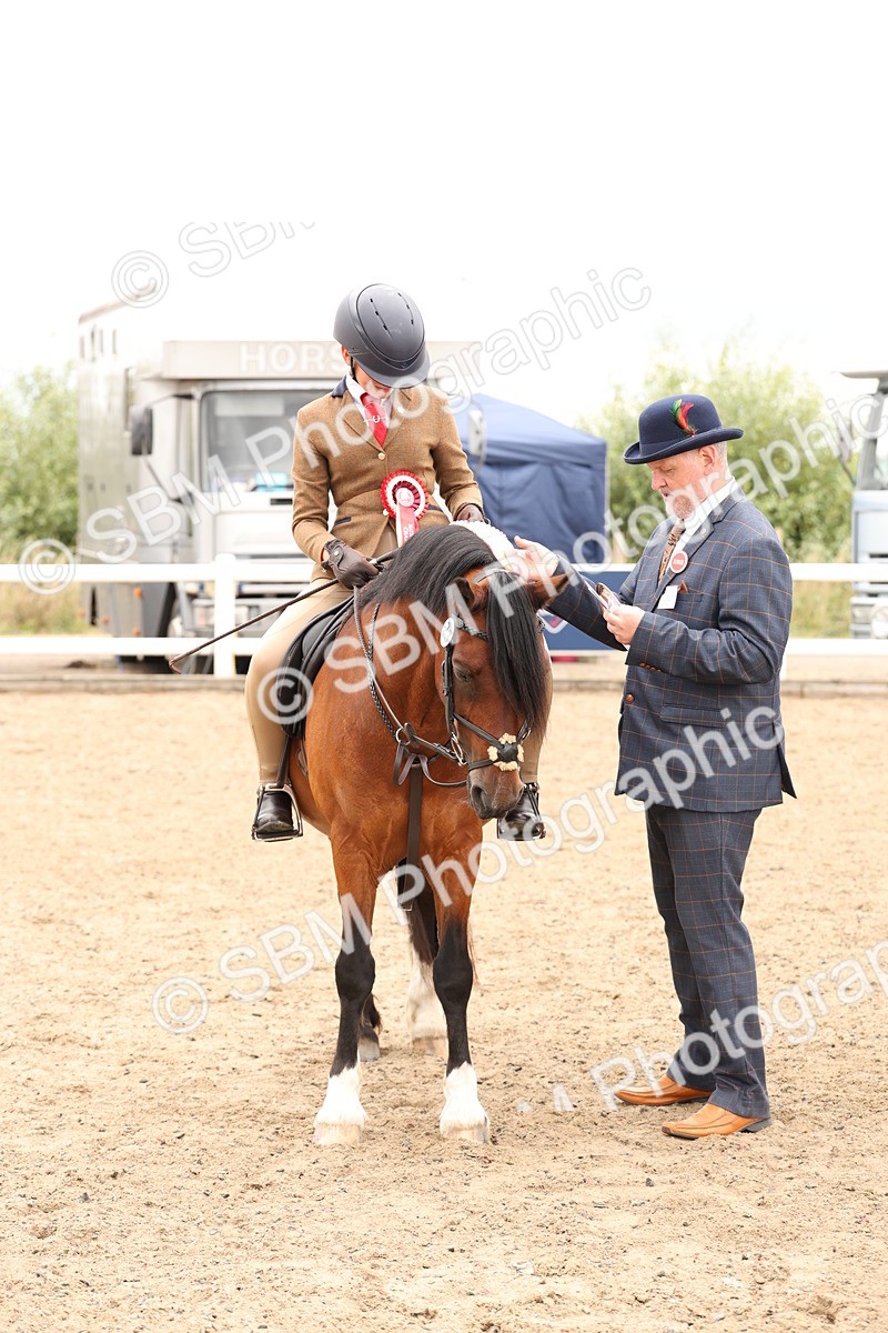 SBM_06274 - Class 57b -  Style & Performance - 60cm (20+)