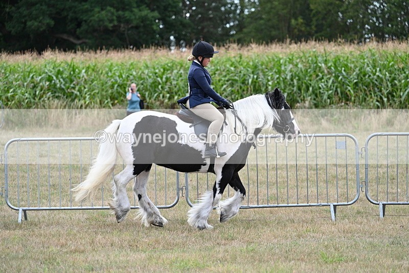 WJ7_5346 - Class 12 Ridden Cob