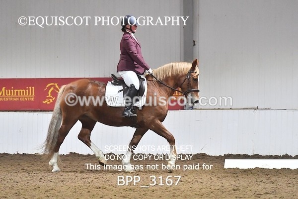 BPP_3167 - INTRO TEST 3