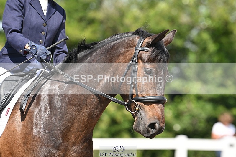 240621A-112033-01956 - Cls 4 BD Novice 22