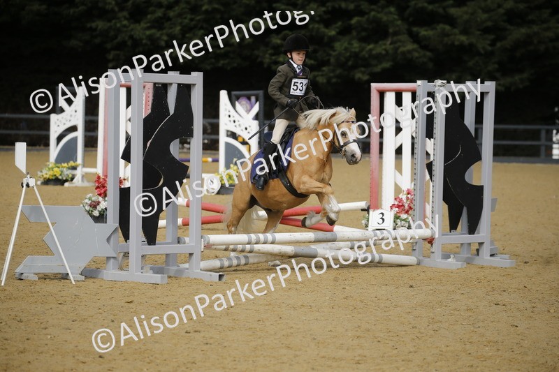 20250622-1543 - 40cm