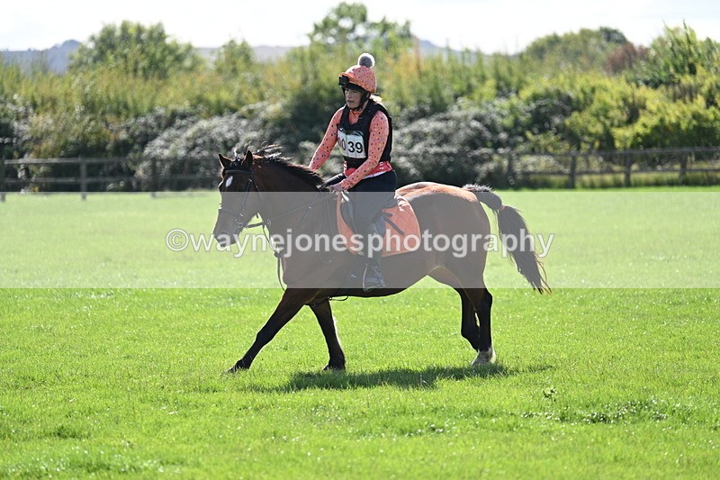 WJ7_1373 - Time 13:56 to 14:24