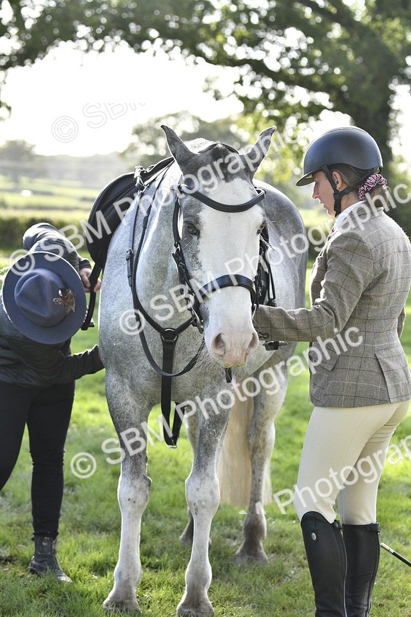SBM_52216 - S35 - Working Hunter & Working Show Horse