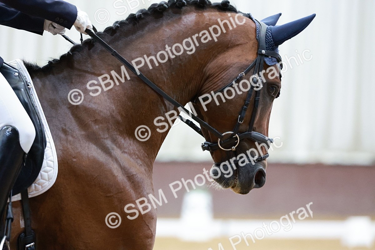 SBM_006409 - Class 3 - Medium 6 - 16.16-17.28