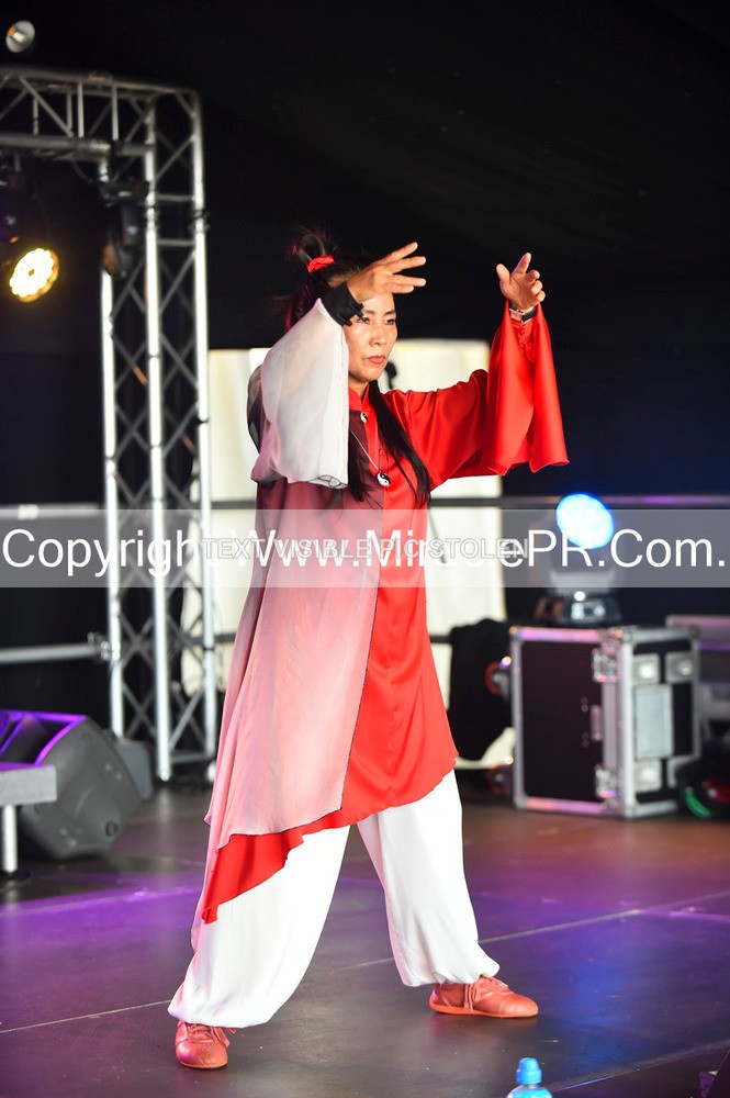 SH4_1504 - Tai Chi with Lisa Kay.