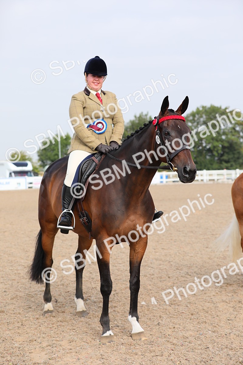SBM_10728 - Class 303 Ridden Pure Bred Horse/Pony (excl M&M)
