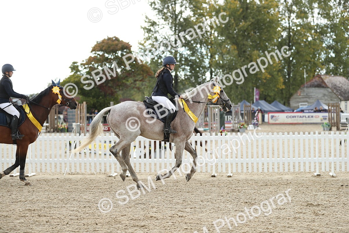 SBM_40516 - J21 - Junior Horse 60cm Championship