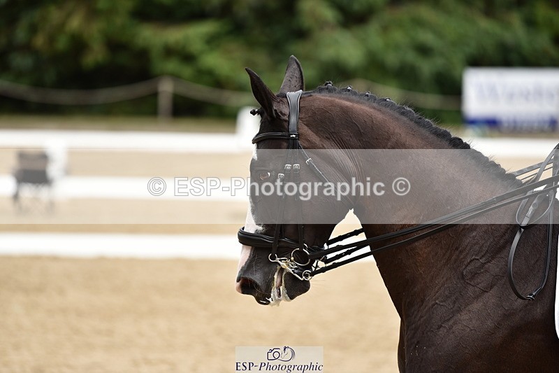 140110A-042806-12155 - 160-Rosey.Bradburn-High.Spirits.II