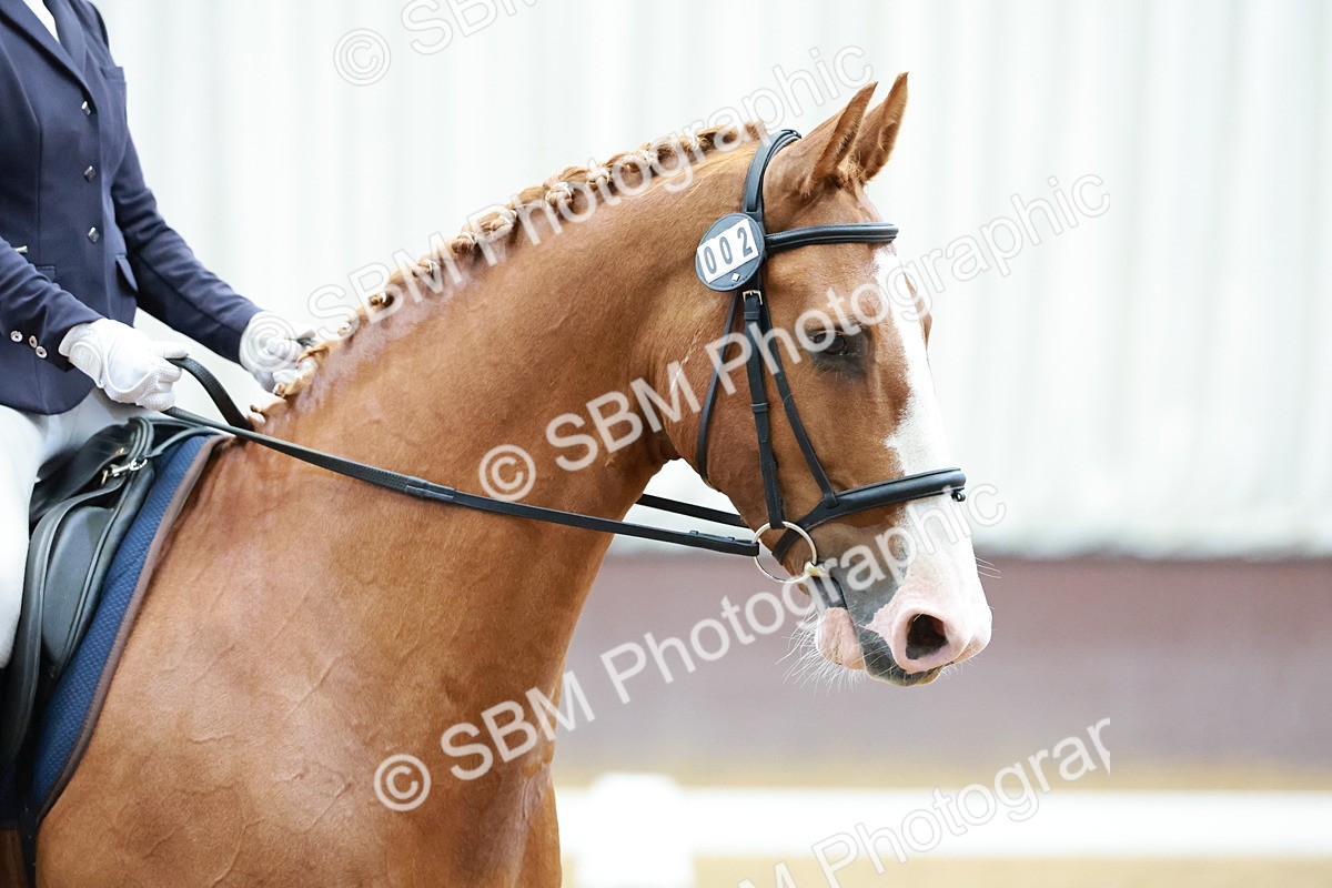 SBM_003387 - Class 4 - Prelim 3