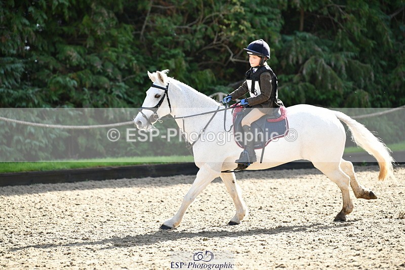 251004A-115751-00831 - Classes 4 & 5 50cm