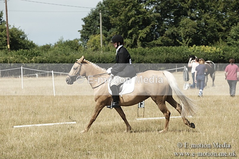 _PJP5807 - Dressage Classes BVRC Show 2018