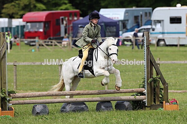 IMG_3029 - Working Hunter