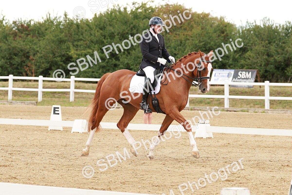 SBM_002029 - Class 8 - Elementary 6