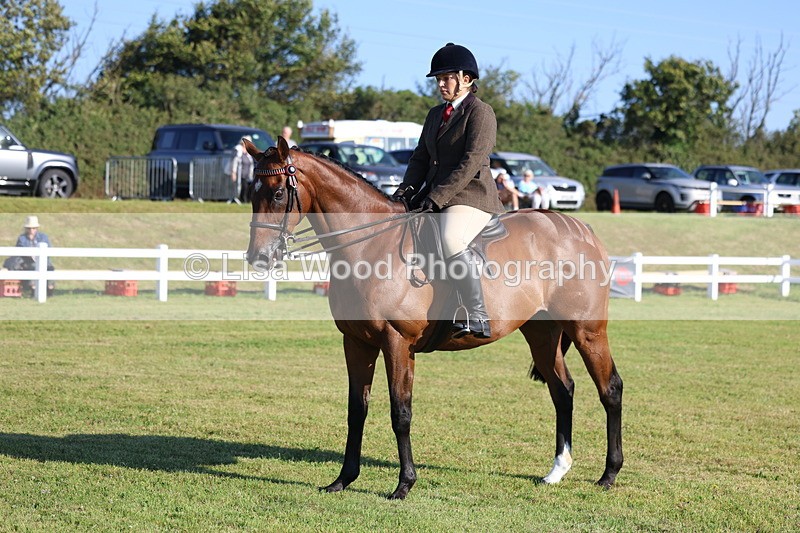 3E7A5093 - Class 1: Rising Star Small Hack/Riding Horses