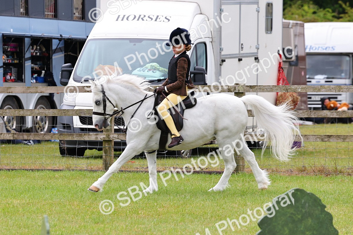 SBM_08662 - Class 42-43 - LIHS BSPS Heritage Working Sports Pony