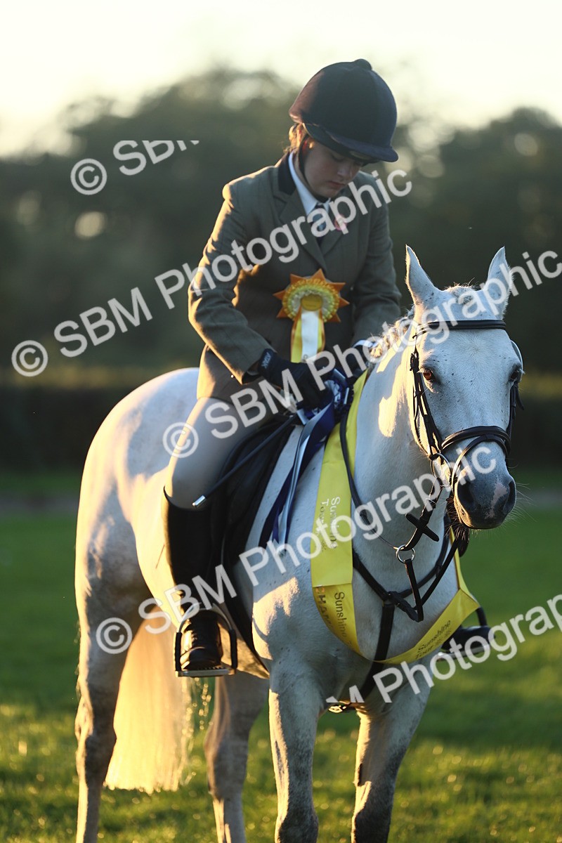 SBM_56688 - Fun & Versatile Supreme Championship