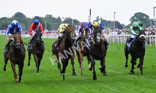 230825-072 Never So Brave - Race 3 3.00pm Sky Bet City Of York Stakes