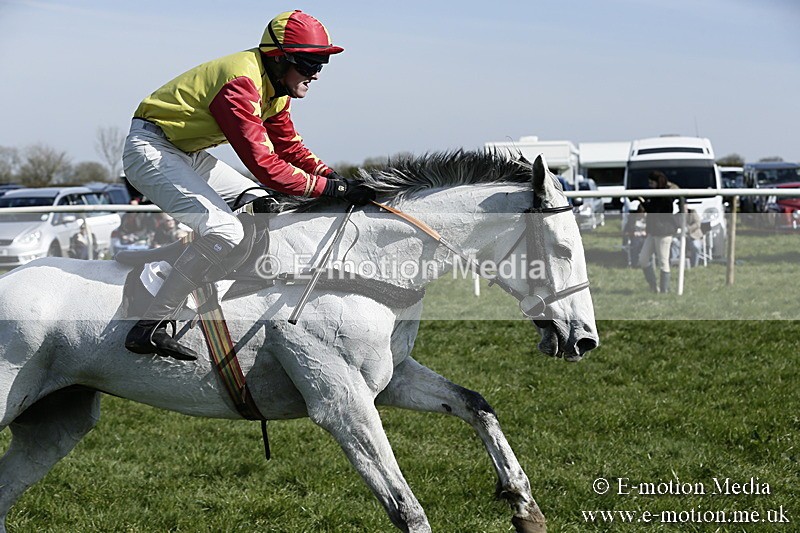 PtP 260317 143 - Mendip Farmers Point-to-Point Ston Easton 26/03/17