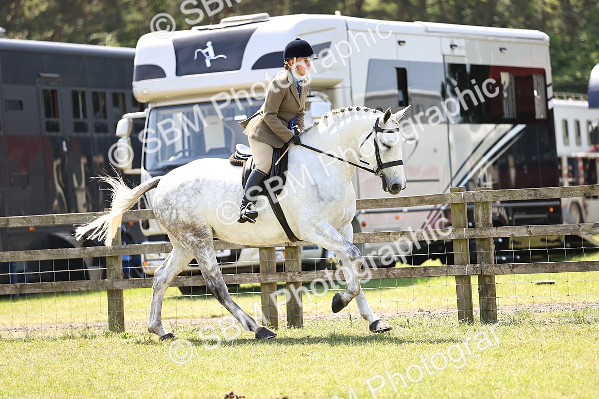 SBM_15251 - Class 79-80 - LIHS BSHA Rising Star Ridden Hunter