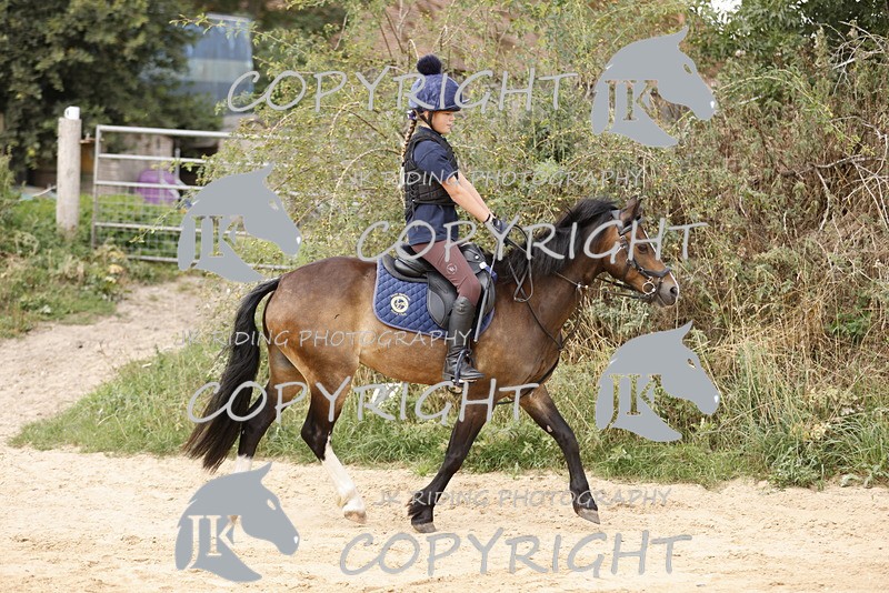 _R6A0891 - Sand arena