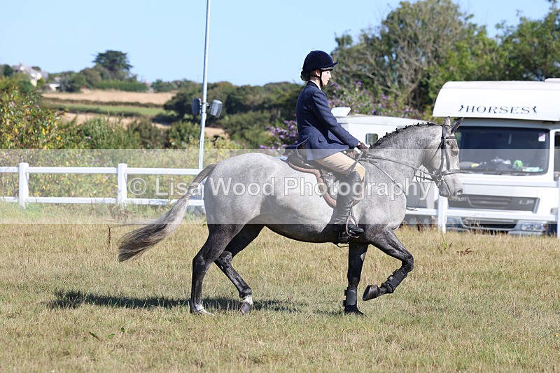 3E7A5468 - Class 3: Working Hunter 70cm