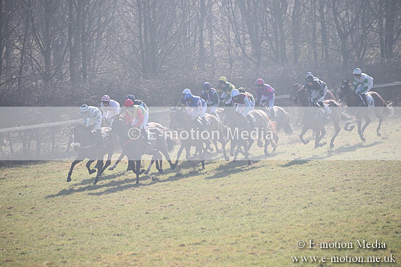 PtP 230219 37 - Vine & Craven Point-To-Point - Barbury 23/02/19