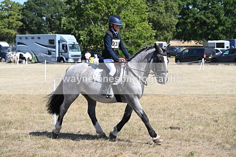 WJ6_9198 - Championship Classes 33-38