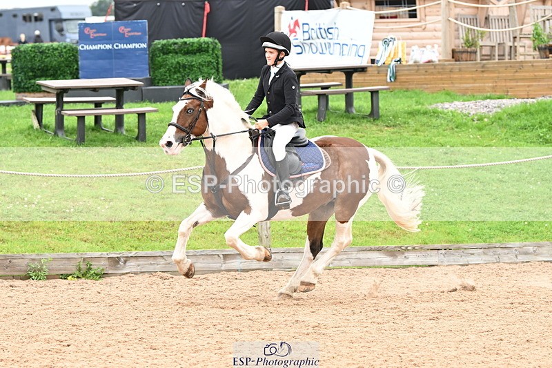 240907A-131959-01959 - Cls 3 Pony Medium Team 80cm & 90cm