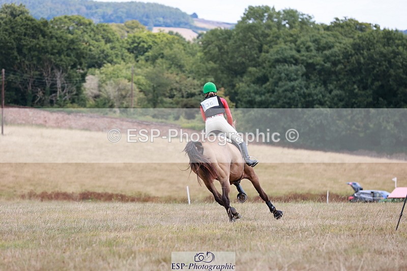 250802A-130942-04281 - A-036-Ottilie.de.Rouet-SILVERSPRINGS.CHATTERBOX