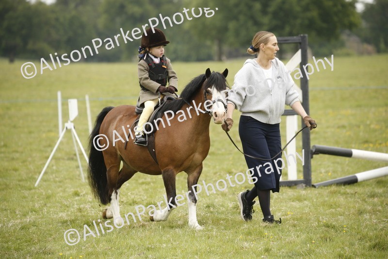 20250517-0125 - Class 1 - 30cm On Lead Rein