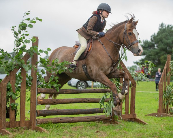 Dunblane show-520 - Dunblane and Doune Show Ring 1