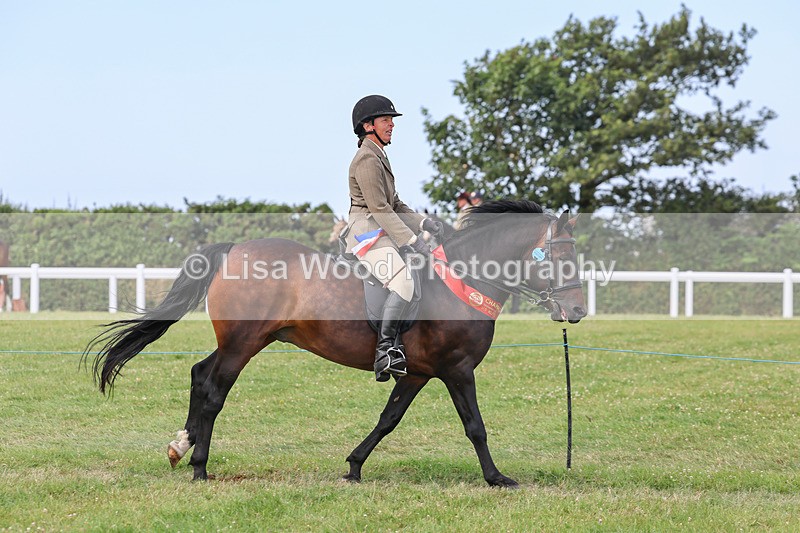 IMG_3751 - M & M Ridden Championship