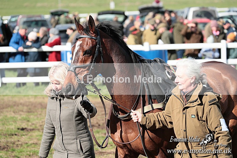 PtP 230324 643 - Tedworth Hunt PtP Larkhill Raccourse 23rd March 2024