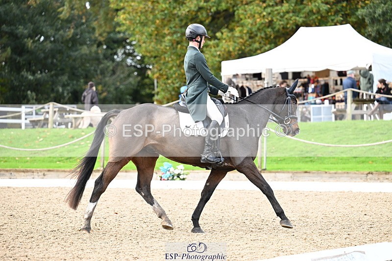 251023A-110346-01625 - B-134-Rafael.Losano