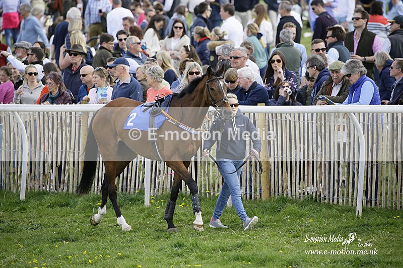 PtP 180422 44 - Old Berkshire PtP Lockinge 18/04/22