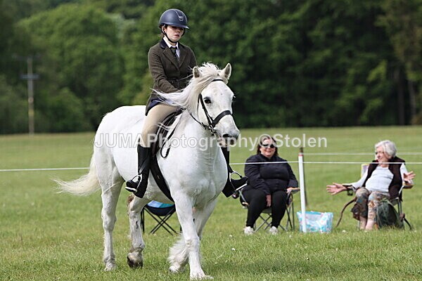 IMG_2703 - Working Hunter