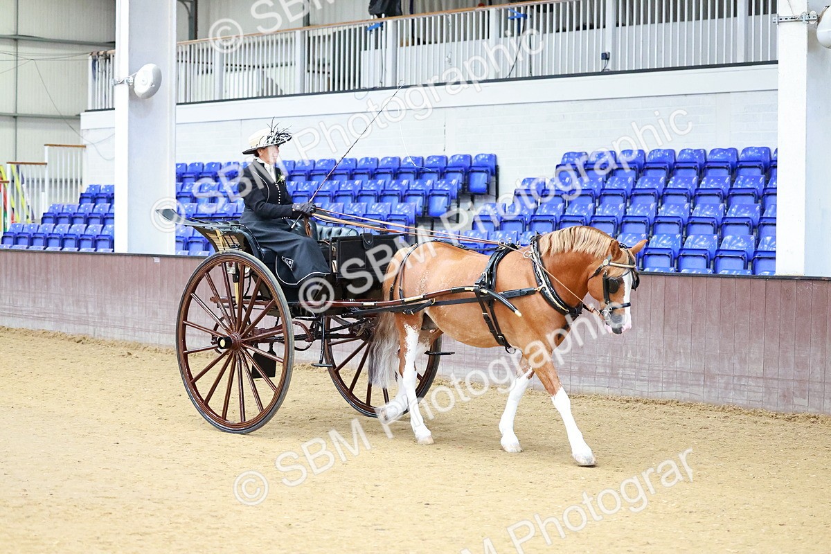 SBM_000002 - Class 1 - Non Hackney Private Drive 13.2hh and Under