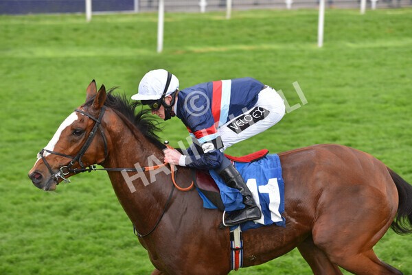 yr22052021r3-34 - Race 3 3.15pm William Hill Extra Place Races Stakes