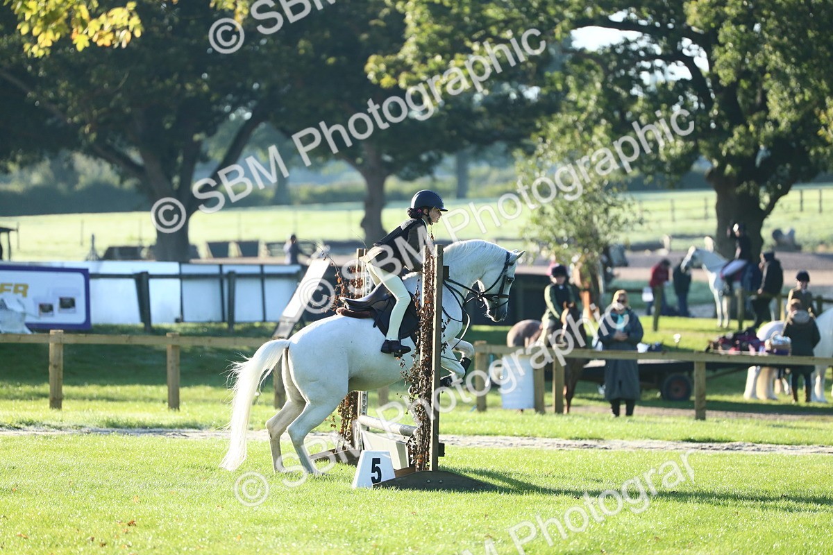 SBM_31956 - S28 - Nursery Stakes Working Hunter Pony