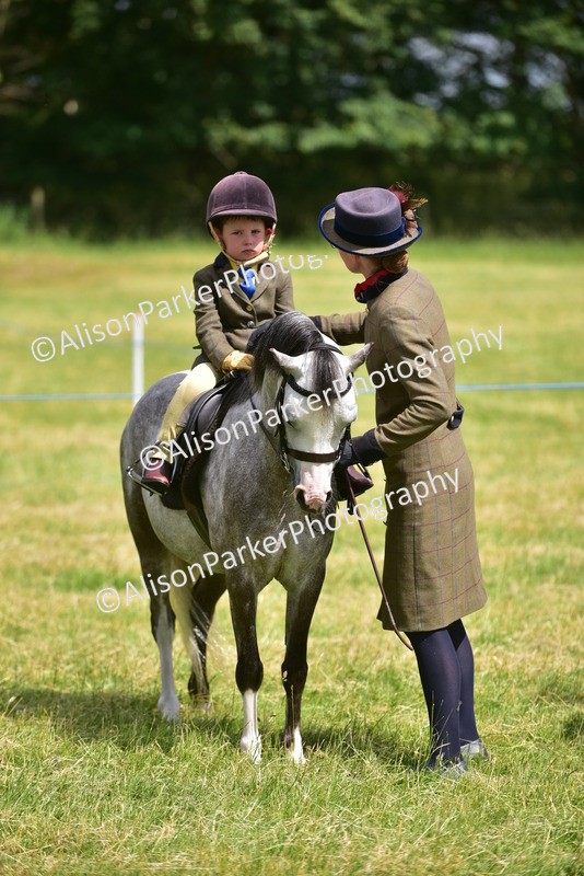 20260614-1196 - Class 11a - Lead Rein Pony (Unplaited)