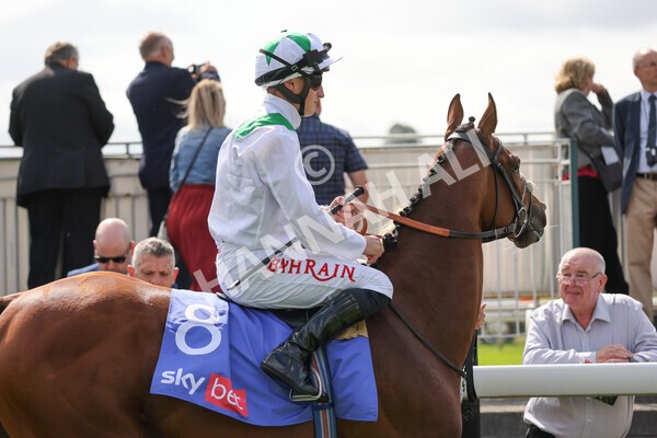 yr18082021r3-37 - Race 3 3.00pm Sky Bet Great Voltigeur Stakes