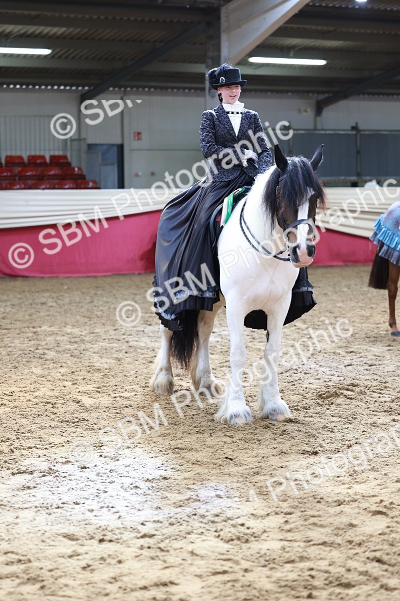 SBM_13826 - Class 106 - Ridden Costume -Astride Adult (15-19)