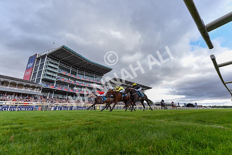 250726-Race 5-Rogue Jewel-4122 - Race 5 15.42pm Sky Bet Price Boosts EBF Fillies' Novice Stakes