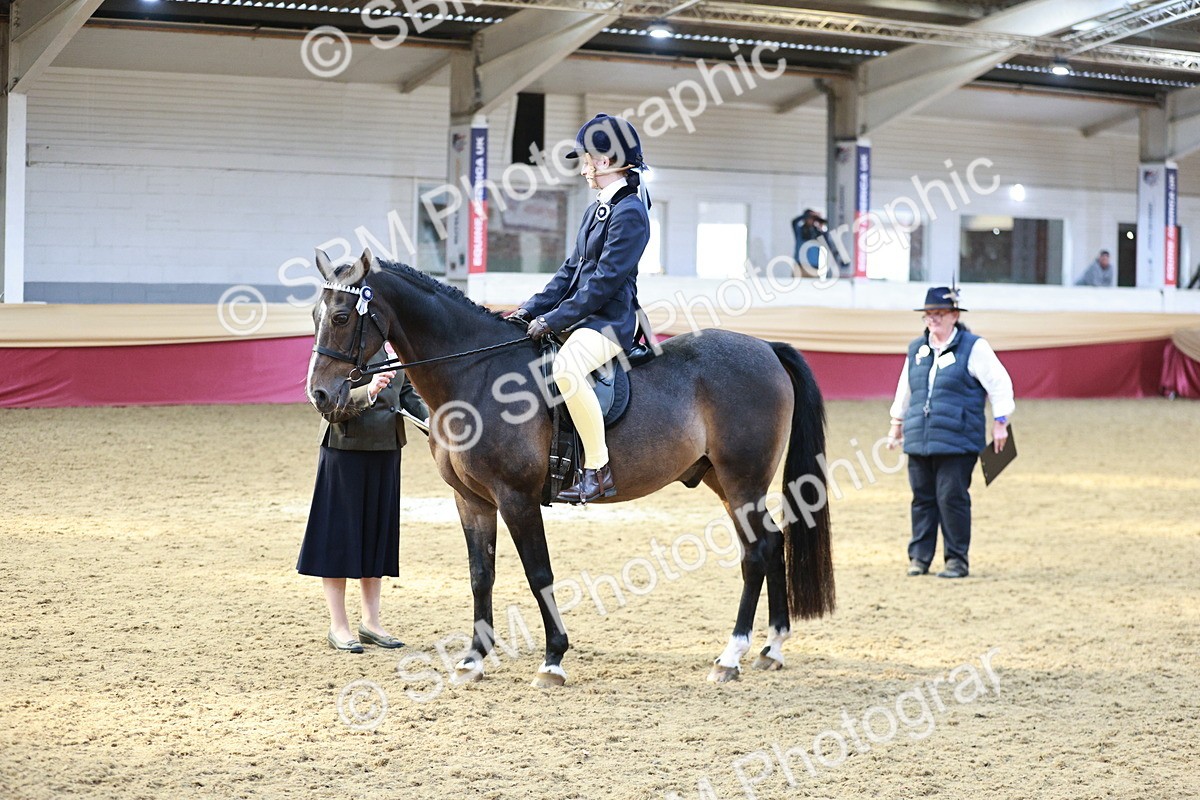 SBM_08279 - Class 11R - Regional Ridden Veteran