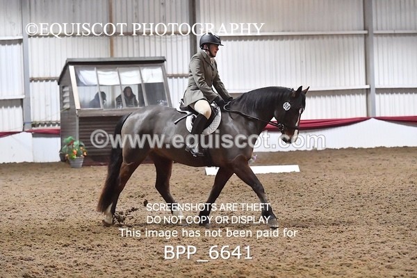 BPP_6641