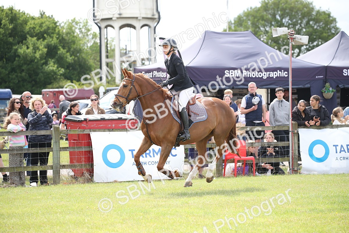 SBM_17486 - Class 208 - Senior Foxhunter 1.20m Open