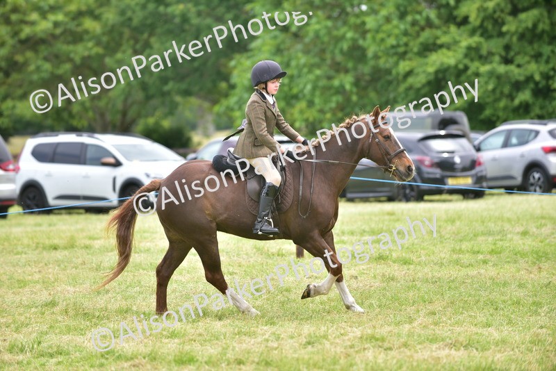 20260614-2675 - Class 13 - Pony Club Pony