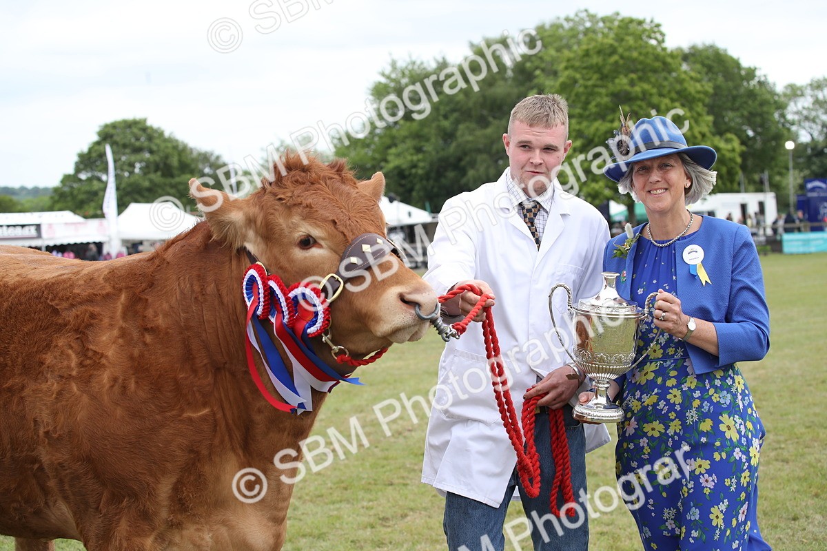 SBM_07926 - Grand Parade